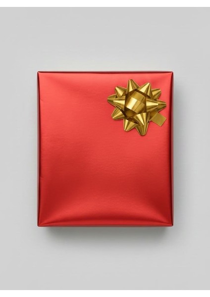 Gold Zincir Çelik Bileklik fiyatları