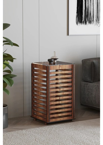 Solis Sehpa Lambader Ceviz fiyatları