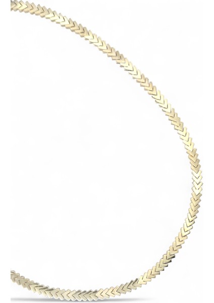 925 Ayar Gümüş Balık Sırtı Kadın Kolye fiyatları