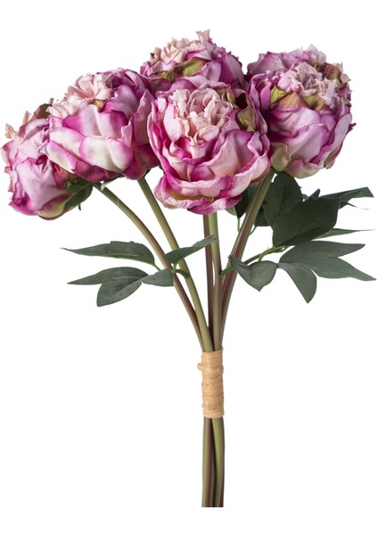 ŞAKAYIK BUKET MOR 40 CM