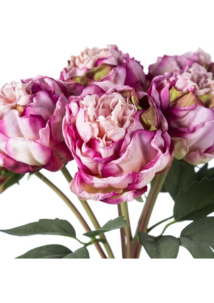 ŞAKAYIK BUKET MOR 40 CM fiyatları