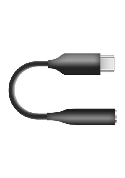 ZR323 JH048 Carboon Type-C Kulaklık Çevirici