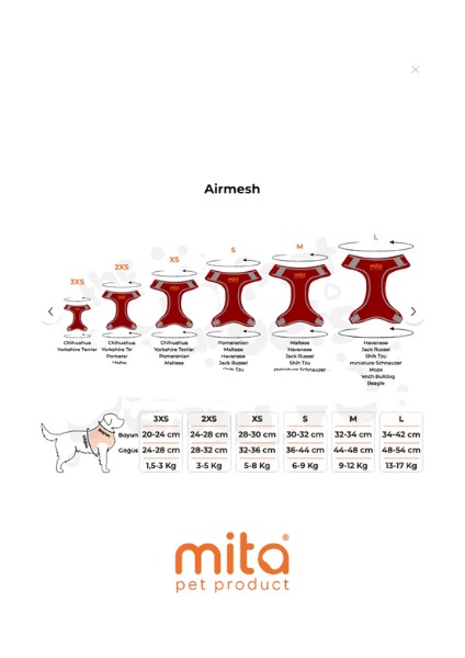 12’lı Set Air Mesh Antibakteriyel 2xs Gögüs Tasması Kırmızı modelleri