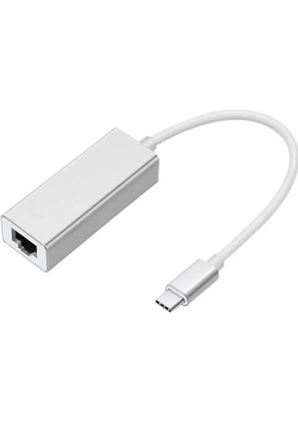 ZR117 Type-C Ethernet Metal Çevirici