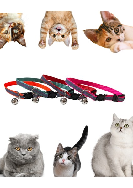 Renkli Zilli Ayarlanabilir Kedi Tasması 10MM 18/28CM – Güvenli ve Şık modelleri
