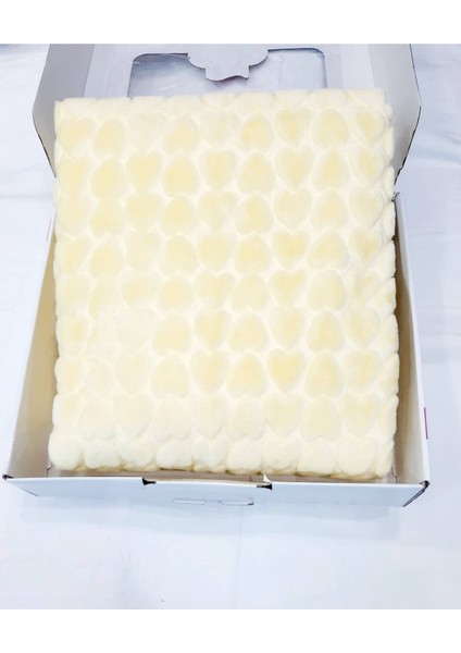 Berkaysundan Kalın Peluş Bebek Battaniyesi 100X120 fiyatları