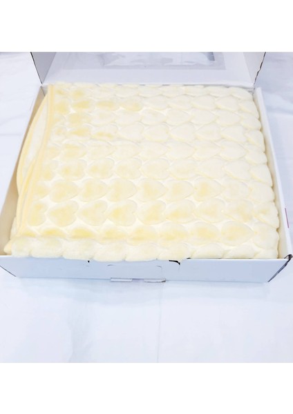 Berkaysundan Kalın Peluş Bebek Battaniyesi 100X120