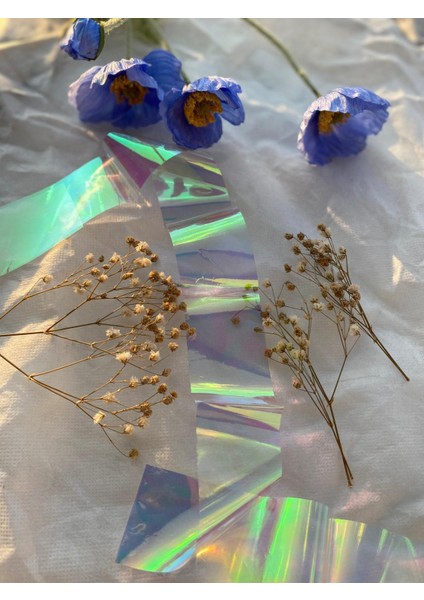 Japan Nail Glitter Stone