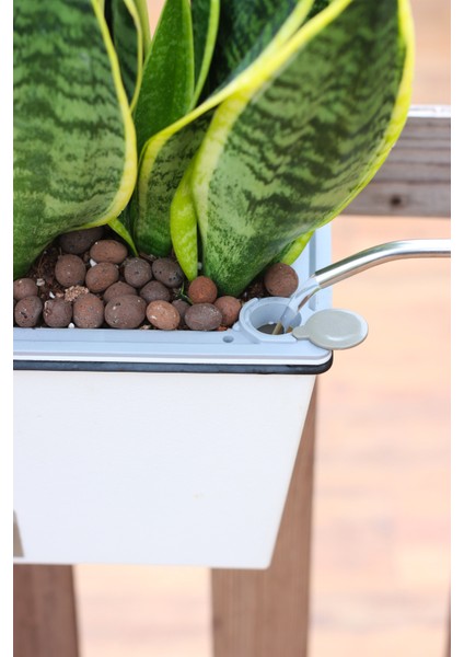 Kendinden Sulamalı Bahçe Tipi Dikdörtgen Akıllı Saksı fiyatları