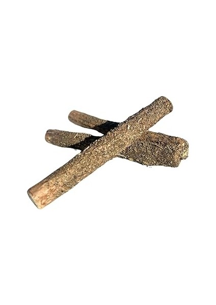 Pawdaz Catnipli Matatabi Stick - Diş Temizlemeye ve Stres Gidermeye Yardımcı Doğal Oyuncak (3 Adet)