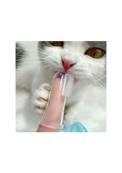 Kedi Köpek Parmak Diş Fırçası Kutulu Evcil Hayvan Diş Fırçası