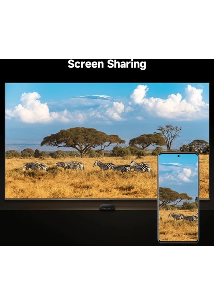 Mi Box S 4K Android Tv Box 3. Nesil 2 GB Ram HDMI ve Wi-Fi Desteği Siyah indirimleri