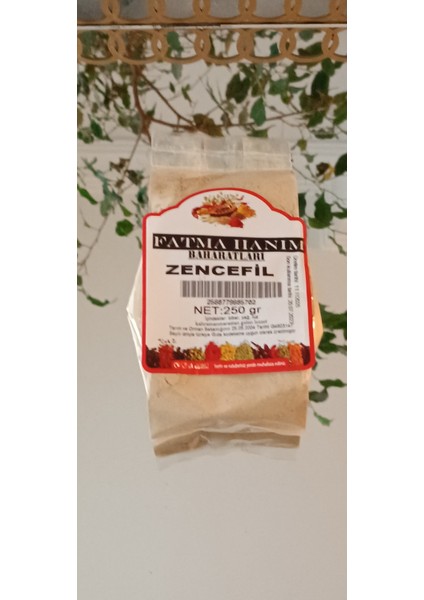 Zencefil Fatma Hanım Bahartları
