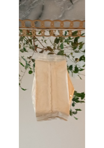 Zencefil Fatma Hanım Bahartları