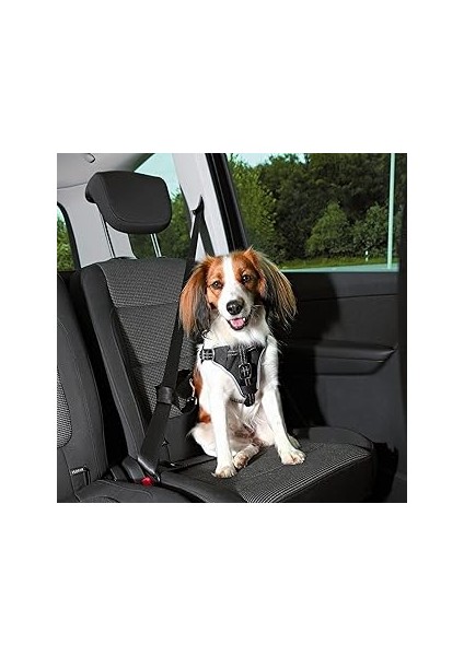 Trixie Köpek Emniyet Kemeri ve Göğüs Tasması 40-55 cm 17 mm Siyah S-M