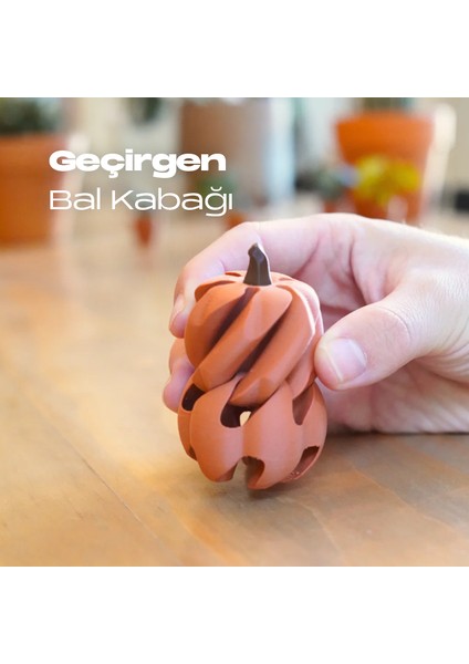 Bal Kabağı Oyuncak 3'lü Set fiyatları