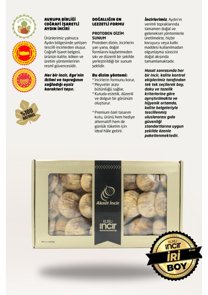 Kuru Incir Protoben Dizim 1000G Aydın Inciri (Ab Coğrafi Işaretli) fırsatları