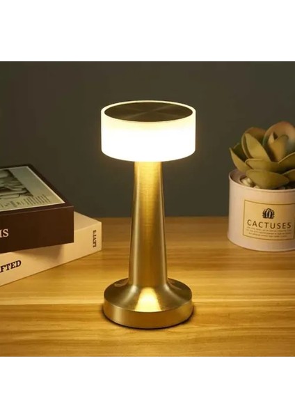 Dekoratif LED Masa Lambası
