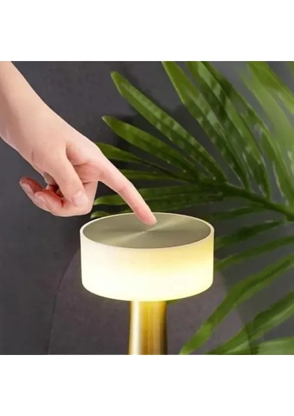 Dekoratif LED Masa Lambası modelleri