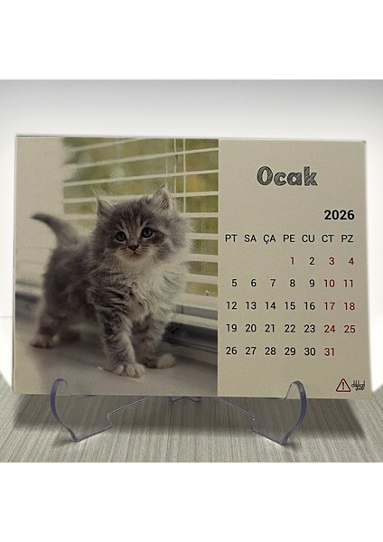 2026 Kedi Masa Takvimi