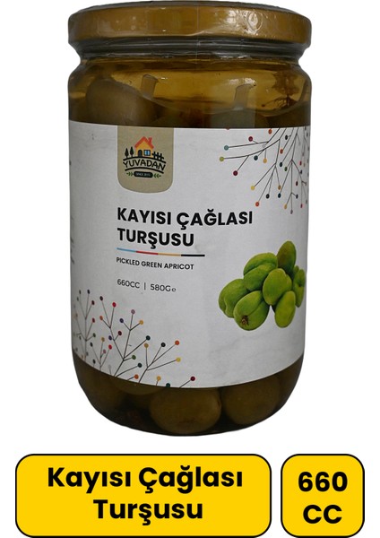 Kayısı Çağlası Turşusu | 660 cc fiyatları