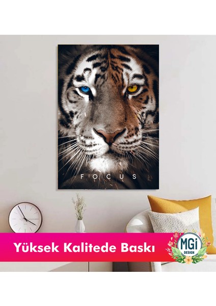 Focus Çift Göz Kaplan Kanvas Tablo Mavi Sarı Heterokromi Yırtıcı Hayvan Dekoru modelleri