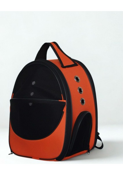 Xl Fileli Kedi Köpek Astronot Taşıma Çantası Lüks