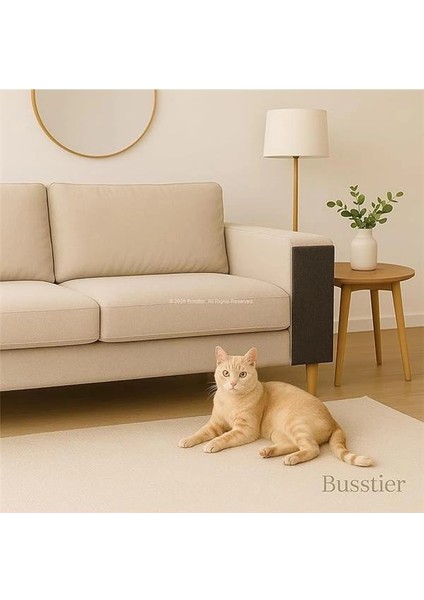 - Kedi Tırmalama Matı Koltuk Kenarı Koruyucu Antrasit Renkli Yapışkanlı Tırmalama Pedi indirimleri