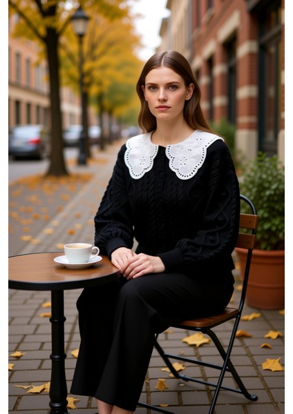 Kadın Yumuşak Dokulu Saç Örgü Desenli Nakış Detaylı Yakalı Düğmeli Uzun Kollu Triko Hırka Şık fiyatları