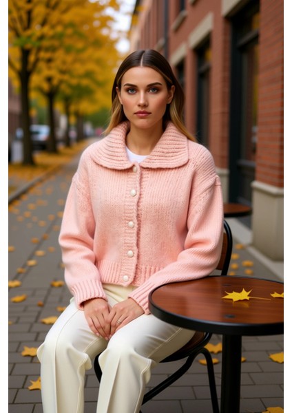 Kadınların Kış Gardıroplarına Sıcaklık ve Katan Düşük Kollu Polo Yaka Oversize Crop Triko Hırka fiyatları