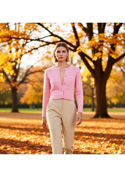 Kadın Ajurlu Zikzak Desenli Bisiklet Yaka Uzun Kollu Crop Kesim Düğmeli Triko Hırka Rahat ve Şık