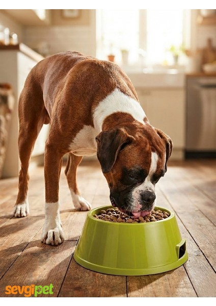 Boxer Irkı Plastik Besleme Kabı fiyatları