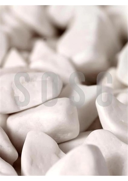 Beyaz Çakıl Taşı Dolomit Taşı Bahçe Süsü Akvaryum Taşı Dere Çakıl Taşı 1-2 cm 1 kg