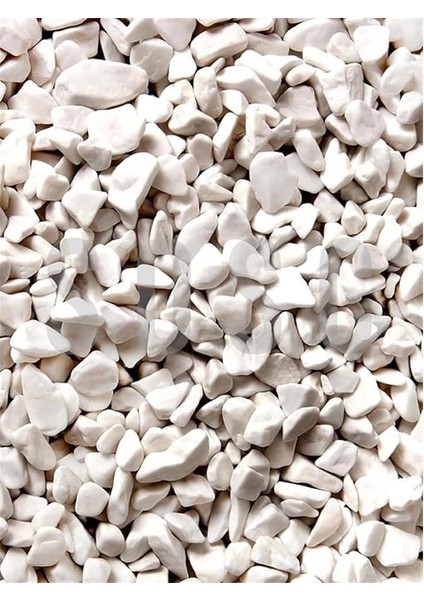 Beyaz Çakıl Taşı Dolomit Taşı Bahçe Süsü Akvaryum Taşı Dere Çakıl Taşı 1-2 cm 1 kg fiyatları