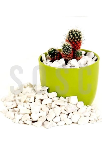 Beyaz Çakıl Taşı Dolomit Taşı Bahçe Süsü Akvaryum Taşı Dere Çakıl Taşı 1-2 cm 1 kg modelleri