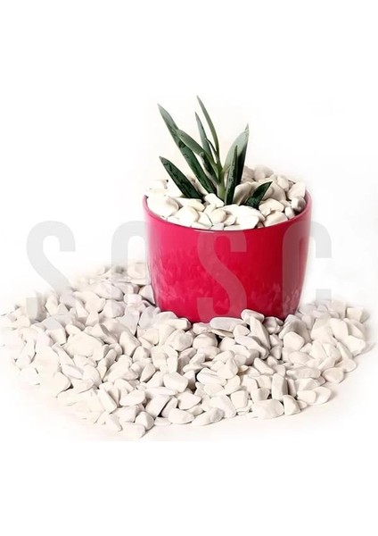 Beyaz Çakıl Taşı Dolomit Taşı Bahçe Süsü Akvaryum Taşı Dere Çakıl Taşı 1-2 cm 1 kg fırsatları