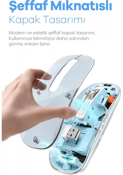 Bluetooth USB Çift Modlu Sessiz Mouse, Şeffaf Mıknatıslı Kapaklı, Type-C Şarjlı, Dpı Ayarlı, Kablosuz 10M Çekim Mesafeli, Masaüstü Kısayol Tuşlu, Taşınabilir Şarjlı Mouse Siyah fırsatları