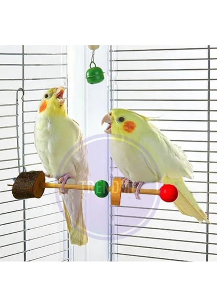 Trendme Doğal Boncuklu Kuş Tüneği 2 Adet fiyatları