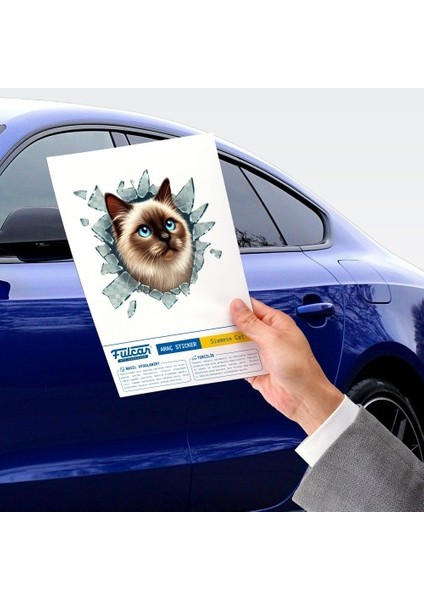 Fulcar Siamesse Araç Stickerı fiyatları