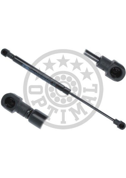 Techmrt Bagaj Amortisoru Mercedes S-Class W221 05 13