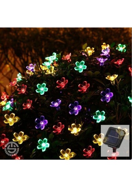 Solar 30 Ledli Çiçekli Rgb Bahçe Aydınlatma Dekorasyon Güneş Enerjili