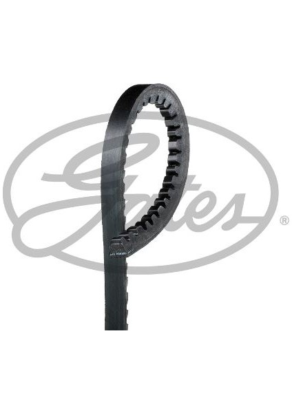Gates 6210MC V Kayışı 10X750LA Cıtroen Fıat Peugeot AY53217-195320510300-EA03231005