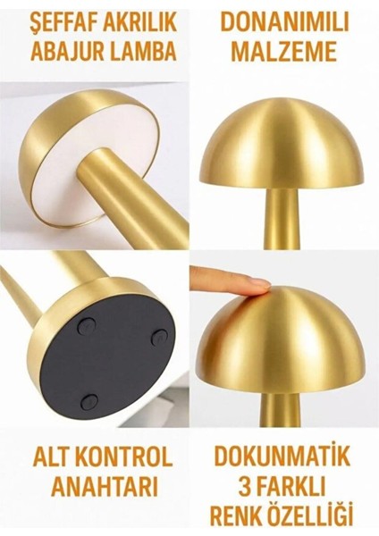 Dokunmatik Mantar Masa Lambası Gold Kasa Renkli 3 Işık Şarjlı Masa Lambası