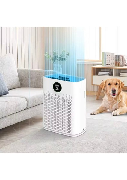 Hava Temizleyici – 4 Kademeli Hız, Sessiz Çalışma, Zaman Ayarı, Çocuk Kilidi modelleri