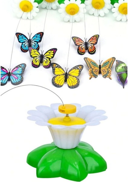 Hareketli Dönen Kelebek - Kedi Oyuncağı ( Pille Çalışır) modelleri