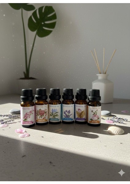 6’lı Esans Yağ Seti – Difüzör, Oda Kokusu, Mum ve Sabun Yapımına Uygun indirimleri