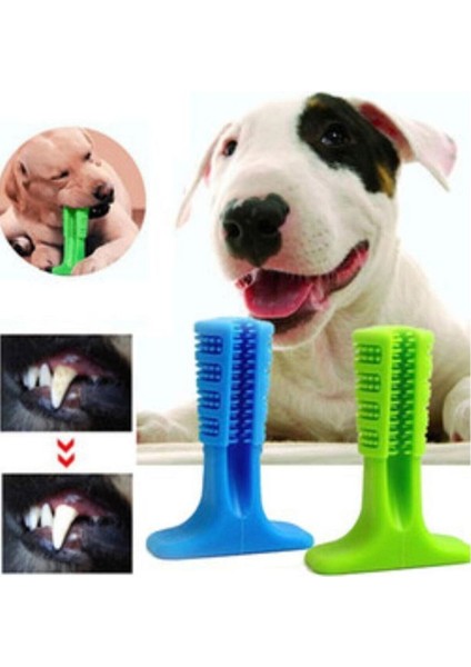 Köpek Diş Temizleyici ve Kaşıyıcı Sağlıklı Küçük Boy Oyuncak
