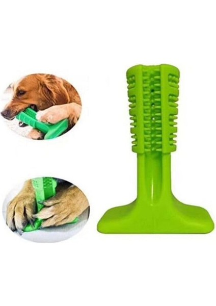 Köpek Diş Temizleyici ve Kaşıyıcı Sağlıklı Küçük Boy Oyuncak
