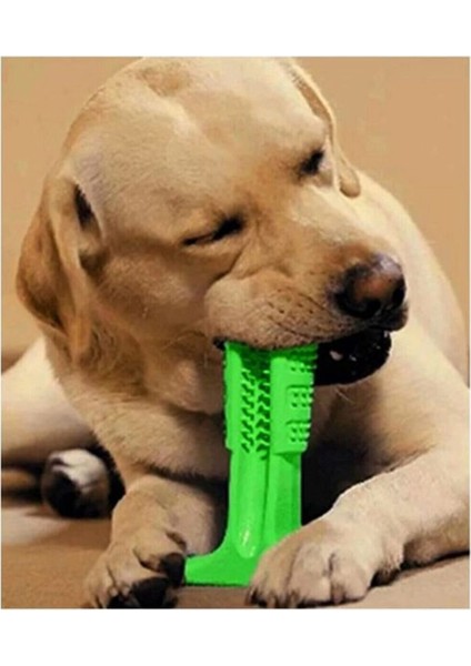 Köpek Diş Temizleyici ve Kaşıyıcı Sağlıklı Küçük Boy Oyuncak