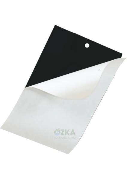 100 Adet Siyah Yapışkan Kart Tuzak 25×10 – Etkili Tuta Takibi